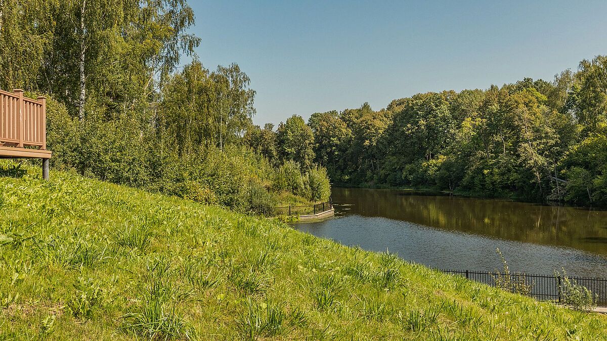 Фото Береза, более 95 качественных бесплатных стоковых фото