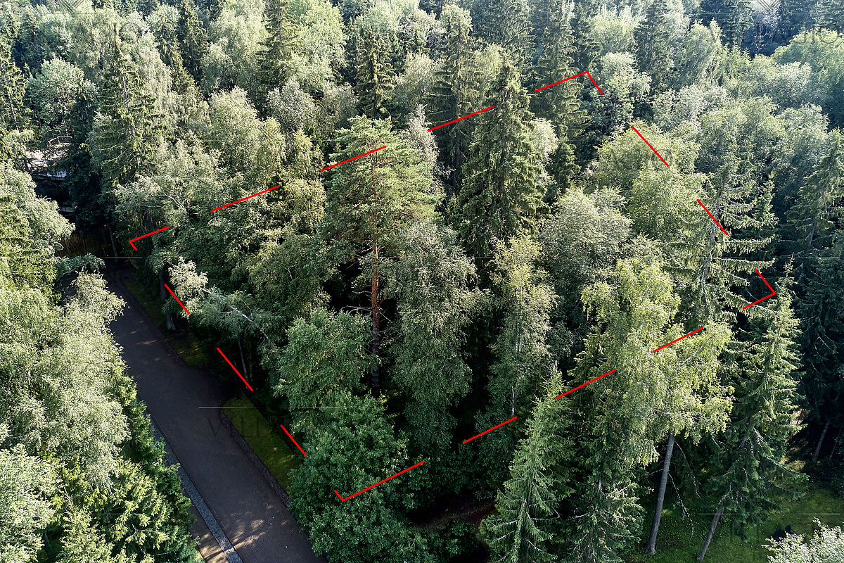 Лесной участок 34 сотки