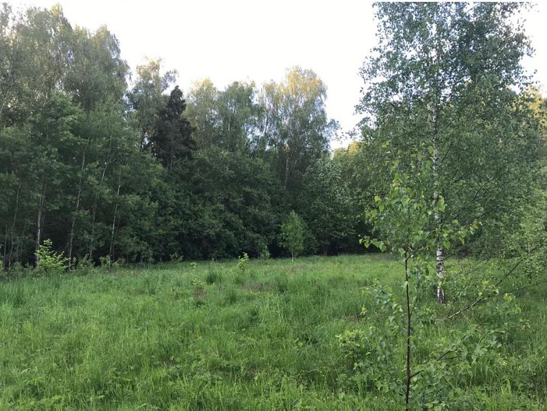 Загородный участок