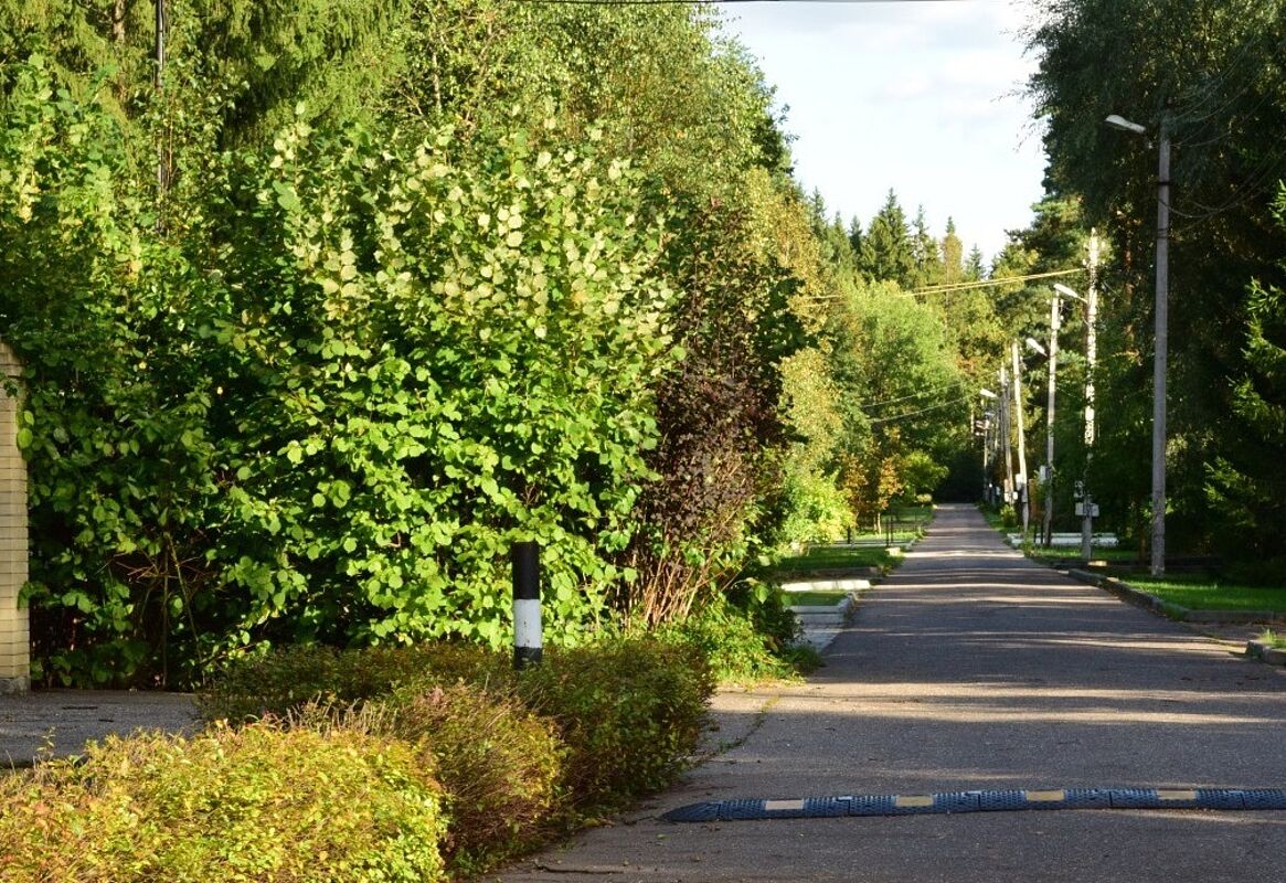 Конверсия