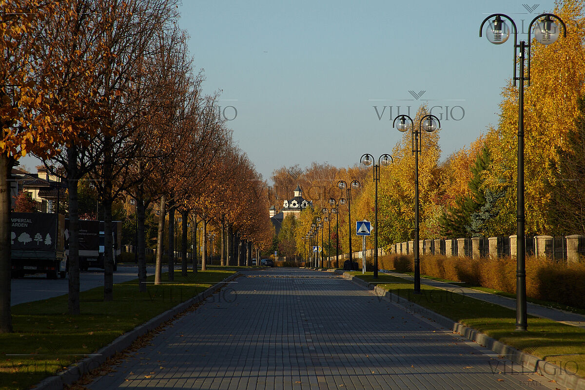 Madison Park