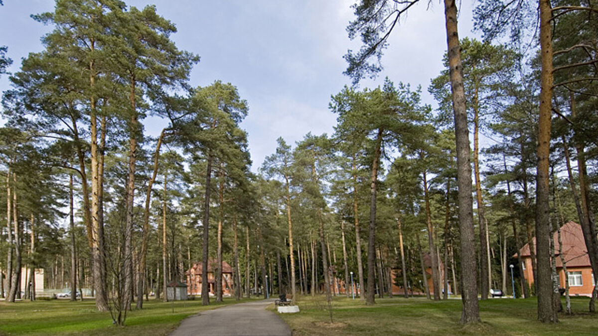 пансионат петрово дальнее