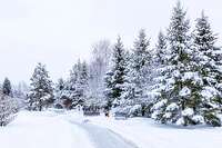 Загородный участок 