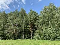 Земельный участок 24,5 соток