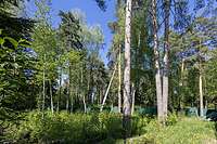 Лесной участок 20 соток