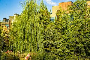 Южная сторона центрального парка