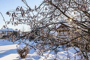 Загородный участок 