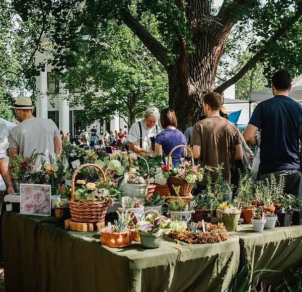 Откройте новые грани загородного комфорта на Villagio Market