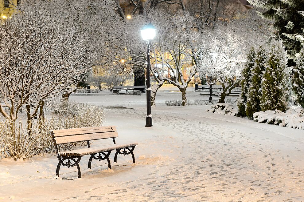 Новогоднее предложение в Millennium Park